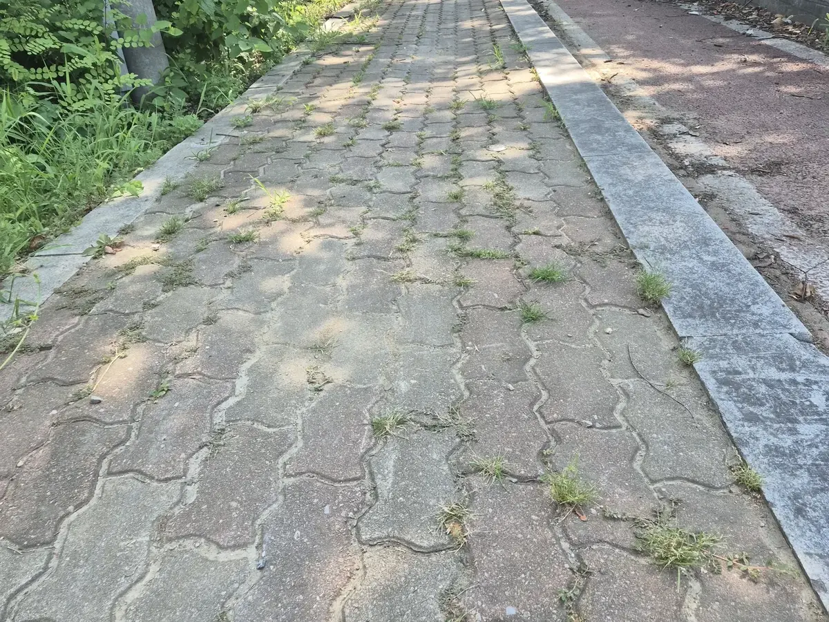 보도블럭교체 시공 사진