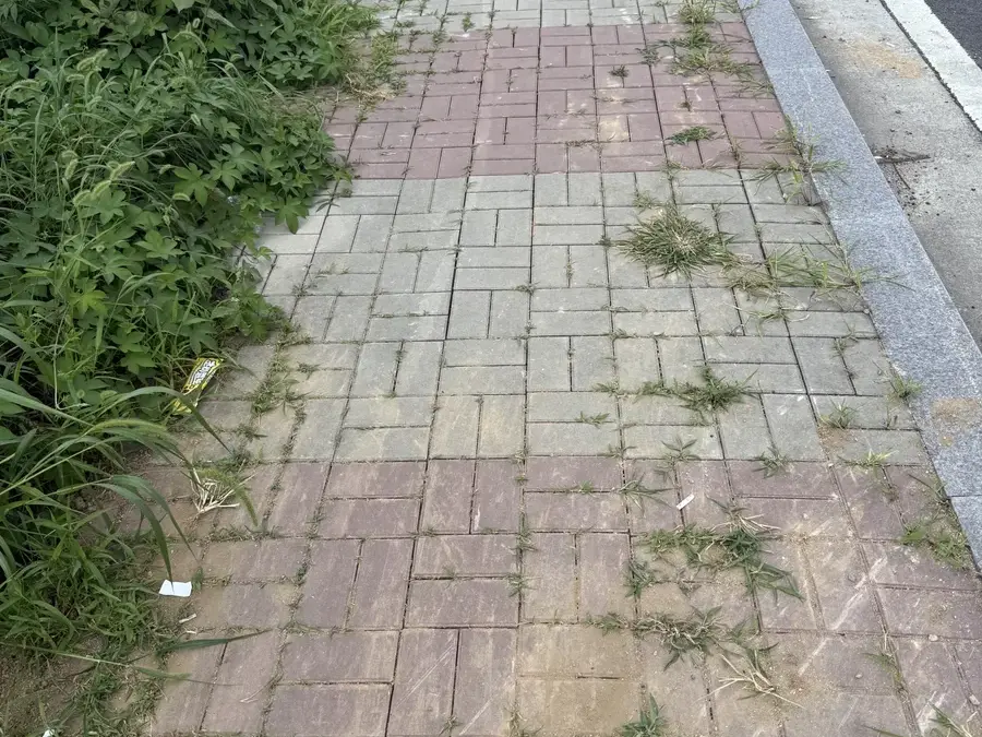 IMG_0641 보도블럭교체 시공 사진